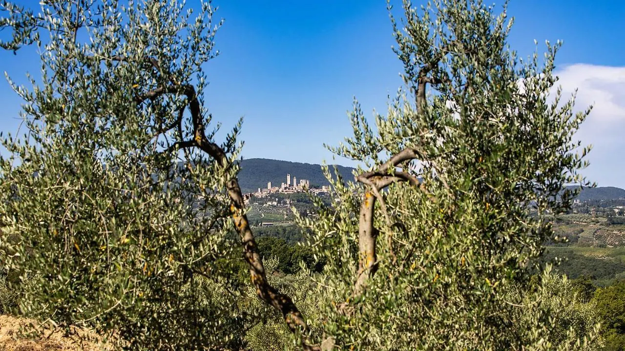 Ricciolo 4, Emma Villas San Gimignano